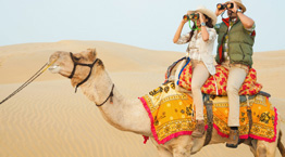 Rajasthan Tour Packages